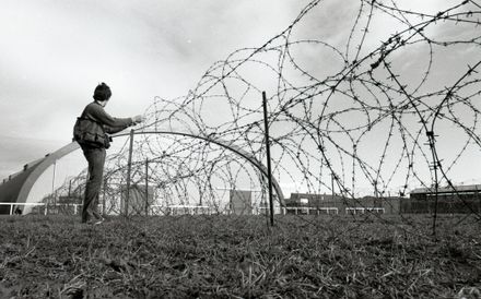 Barbed wire at the Showgrounds