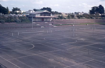 Vautier Park - Puriri Terrace