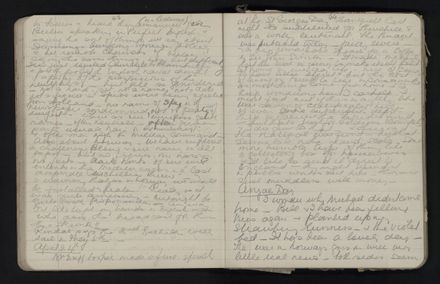 Ann Jacques Diary - 29