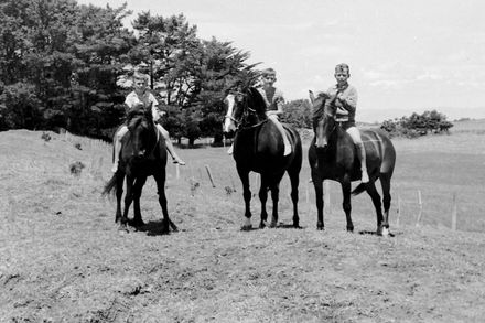 Horse paddock Carnarvon School, 1959