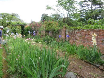 'Woodleigh' gardens, Marton