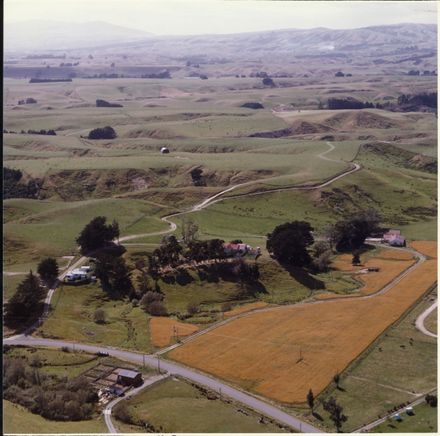 Aerial Photograph of Turitea