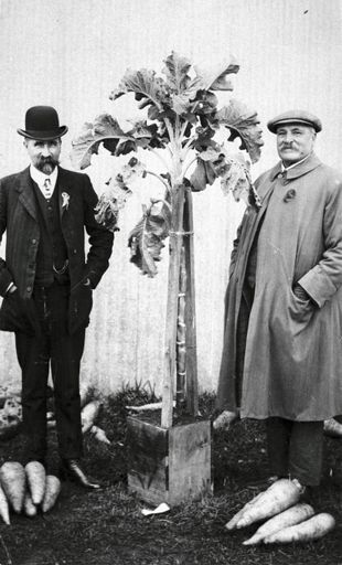 W.T. Penny and Major C. Dunk with prize-winning vegetables