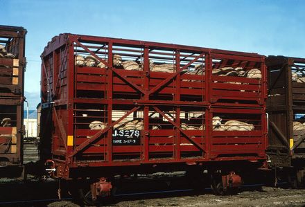 J Class Double Deck Sheep Wagon