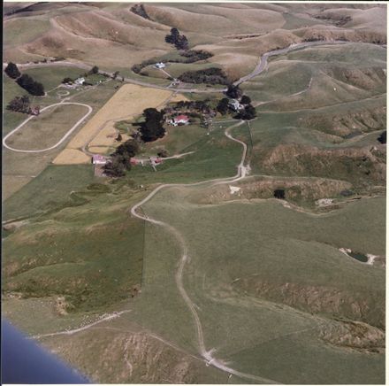 Aerial Photograph of Turitea