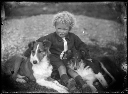Sid Shailer and Dogs