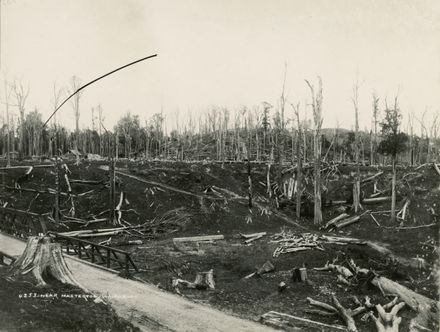 Burn-off bush near Mauriceville