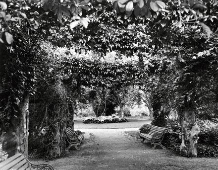 Pergola, Victoria Esplanade