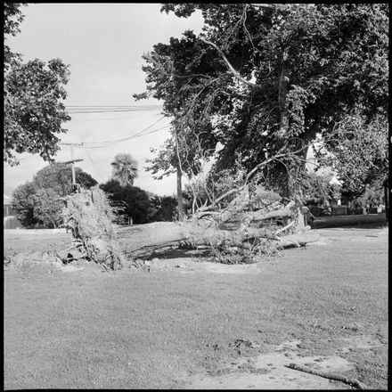 Aftermath of Yesterday's Gale