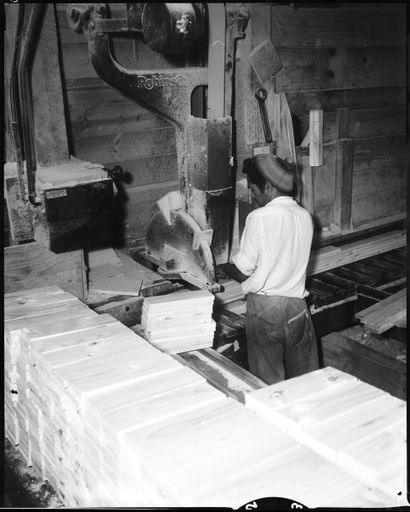 "Local Timber Provides (Packing) Cases" - Resource cover image