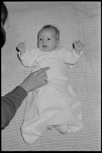 Baby - photo shoot - Resource cover image