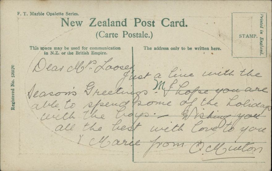 Old Toll Bridge, Manawatu Gorge 2