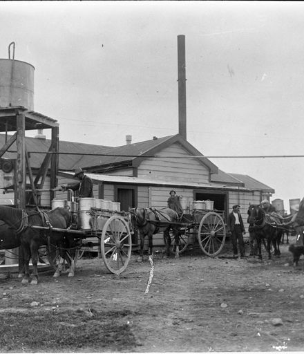Delivering milk to Joseph Nathan & Co Ltd Cheese Factory, at Bunnythorpe