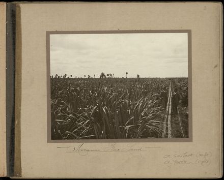 Souvenir of Miranui and Weka Flaxmills Page 5