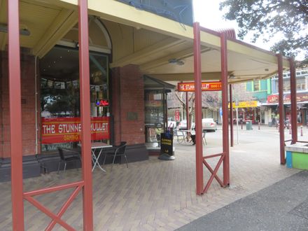 The Stunned Mullet and Surrounds - Resource cover image