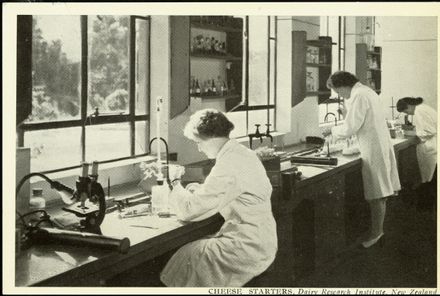 Cheese Starters, Dairy Research Institute - Resource cover image