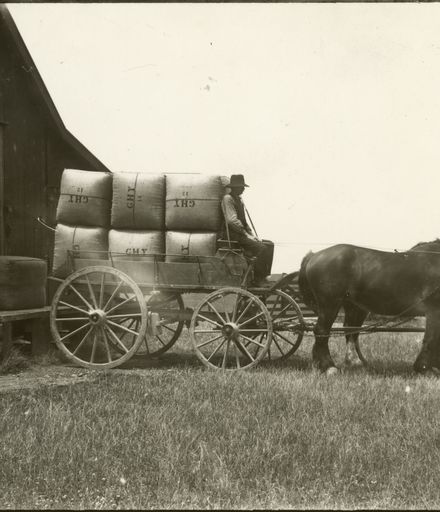 Wagon with load of wool