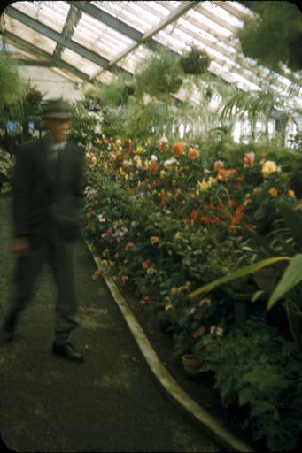 Peter Black Conservatory, Victoria Esplanade