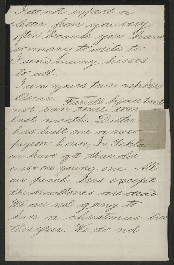 2020P_Monrad-S2_032966_003