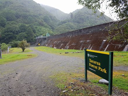 Mangahao Upper #1 Dam