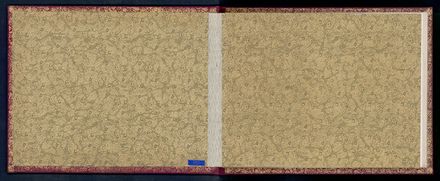 Address to A. Seifert 1