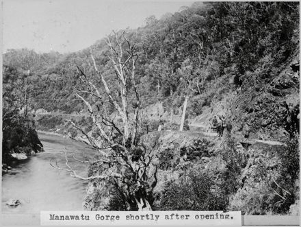 Horse and cart travelling through the Manawatu Gorge
