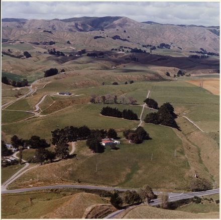 Aerial Photograph of Turitea