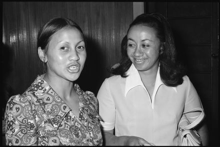 Unknown party attendees - Resource cover image