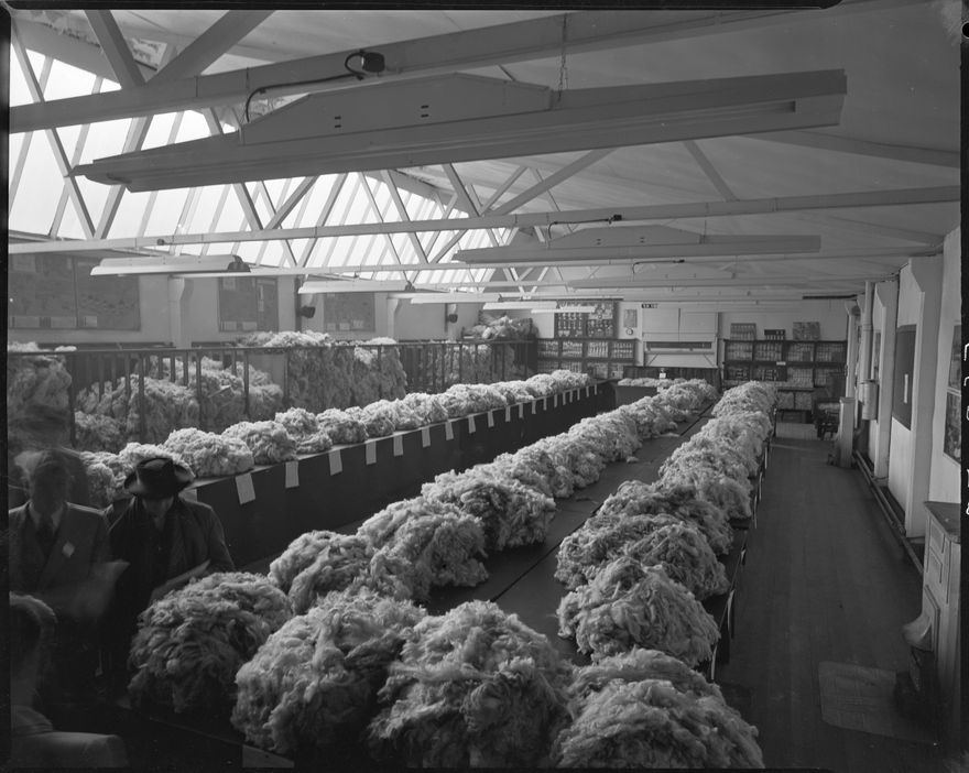 Massey Wool Room - 2016N_ElmarB3_012818