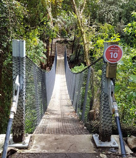 Swing Bridge Across Kahuterawa Stream