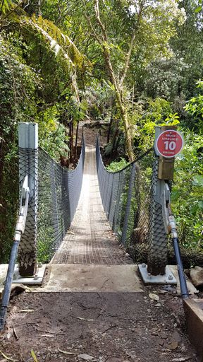 Swing Bridge Across Kahuterawa Stream