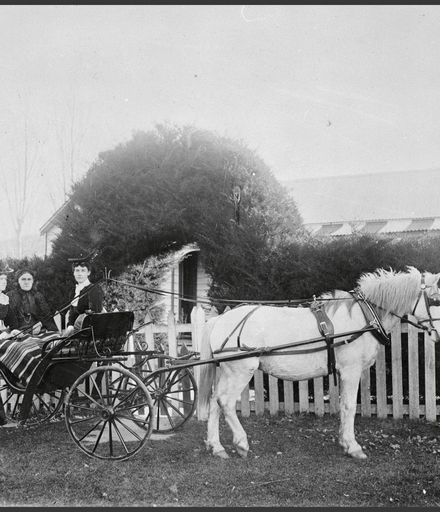 Women in a horse drawn vehicle