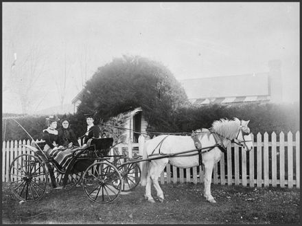 Women in a horse drawn vehicle