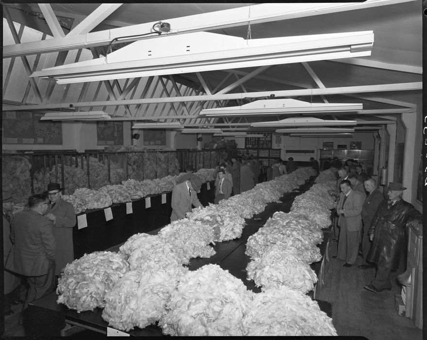 Massey Wool Room - 2016N_ElmarB3_012817