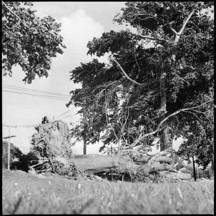 Aftermath of Yesterday's Gale