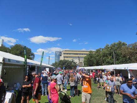 Crowds at the Festival of Cultures