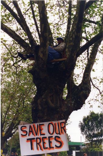 Avenue Action protests