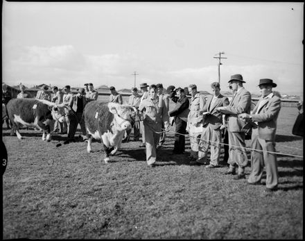 National Stock Judging Competition - Resource cover image