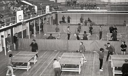 "Table Tennis Champions"
