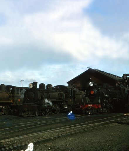Locomotives in the Palmerston North Railway Yards