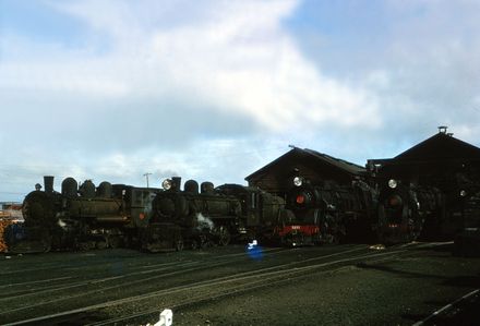 Locomotives in the Palmerston North Railway Yards