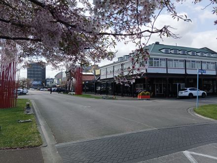Cuba Street - RSA Building (2023) - Resource cover image