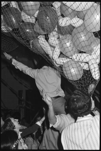 Unknown party attendees - Resource cover image