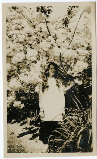 Andrews Collection: Young Woman under a Flowering Tree