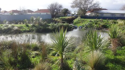 Wetlands at Norton Park