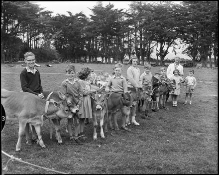 "Hiwinui School Calf Judging Day"