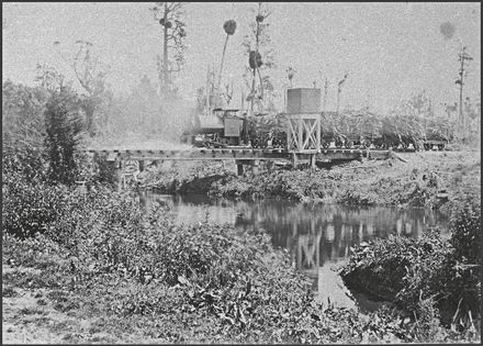 Locomotive hauling flax to Miranui Flaxmill, near Shannon