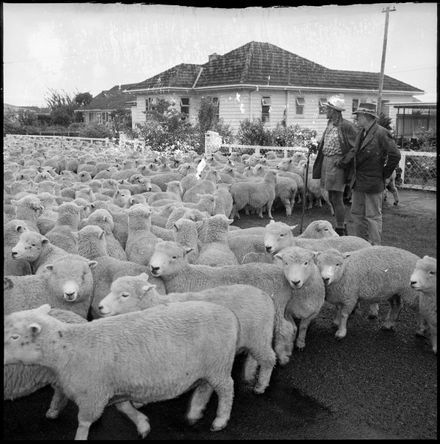"Annual Trek for Ewes" - Resource cover image