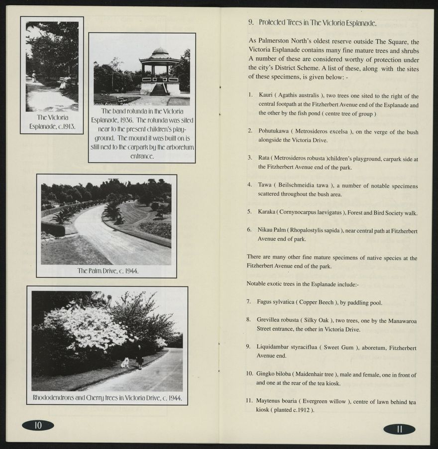 Heritage Trails: Esplanade Walk 6