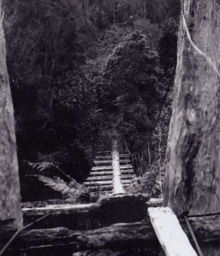 Burtton's swing bridge, Kahuterawa